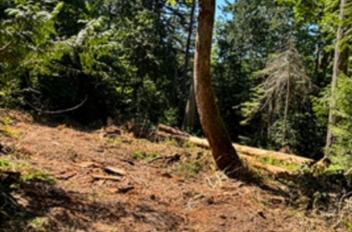 Churchill Rd Salt Spring LOT 2 Churchill Road Salt Spring Island For Sale, R3084344 - StrawHomes.com